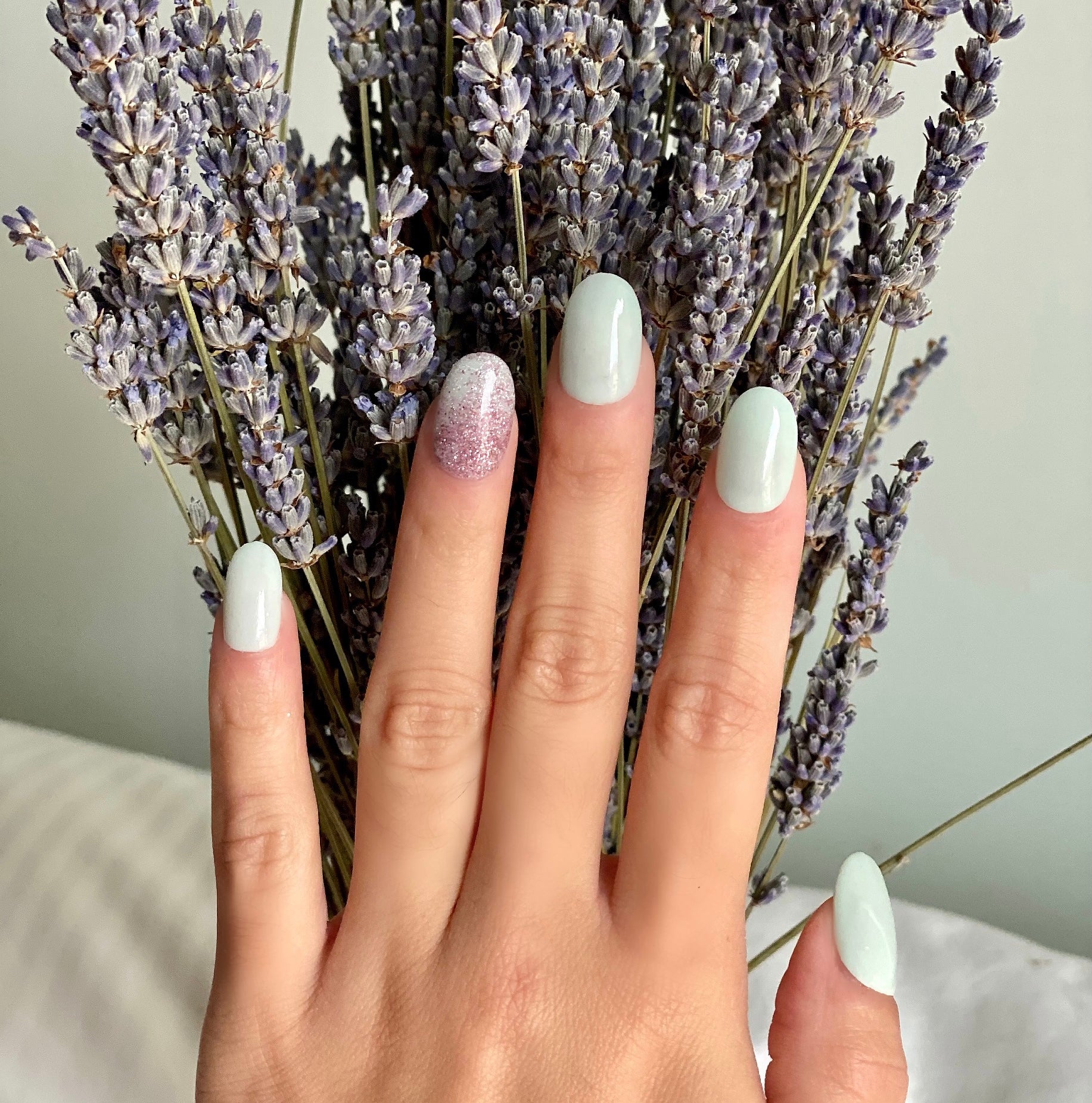 Light blue nails with a glitter accent on the ring finger, holding dried lavender flowers.