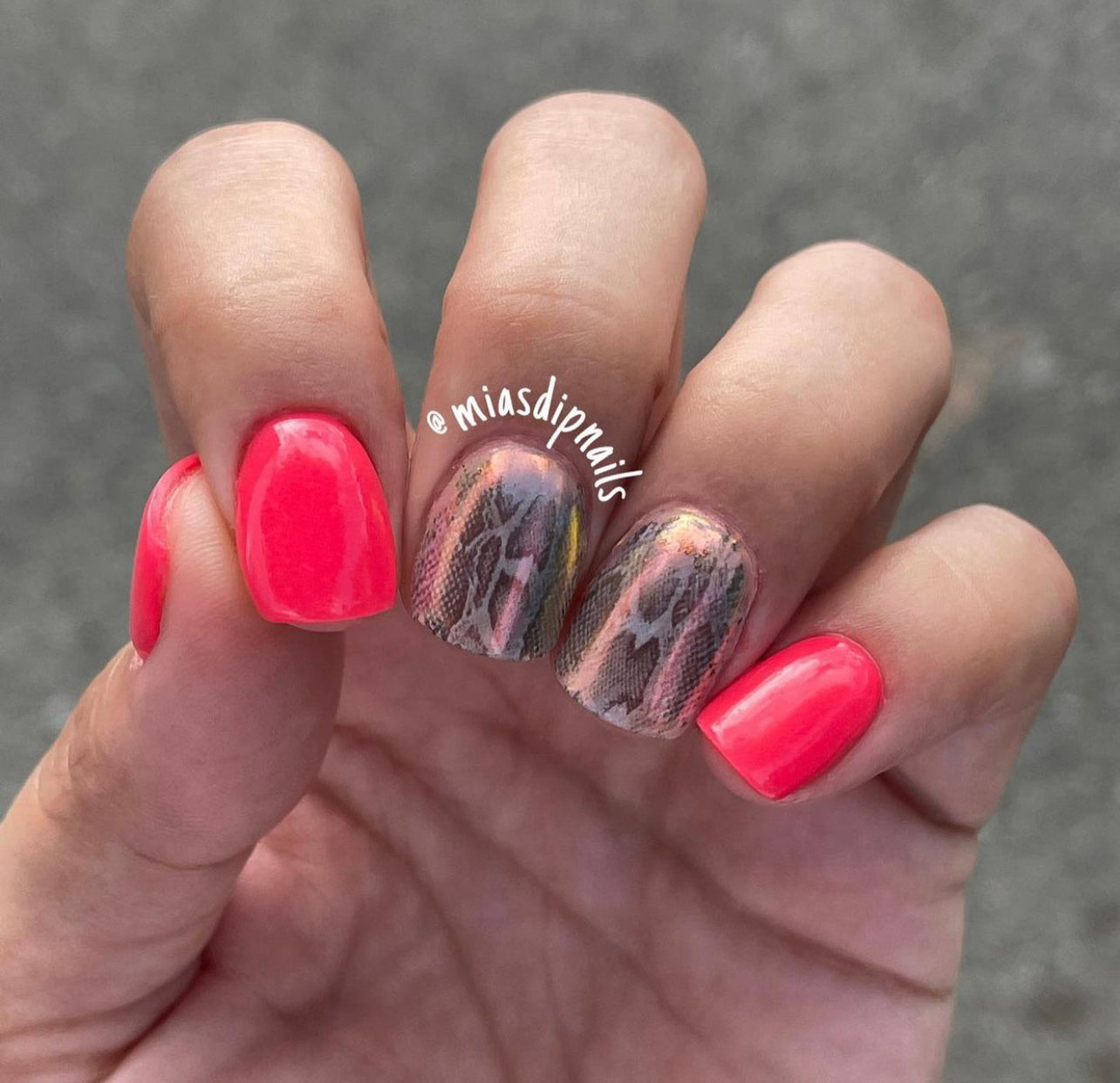 Bright pink solid dip powder nails with two accent nails featuring black and pink snakeskin pattern.