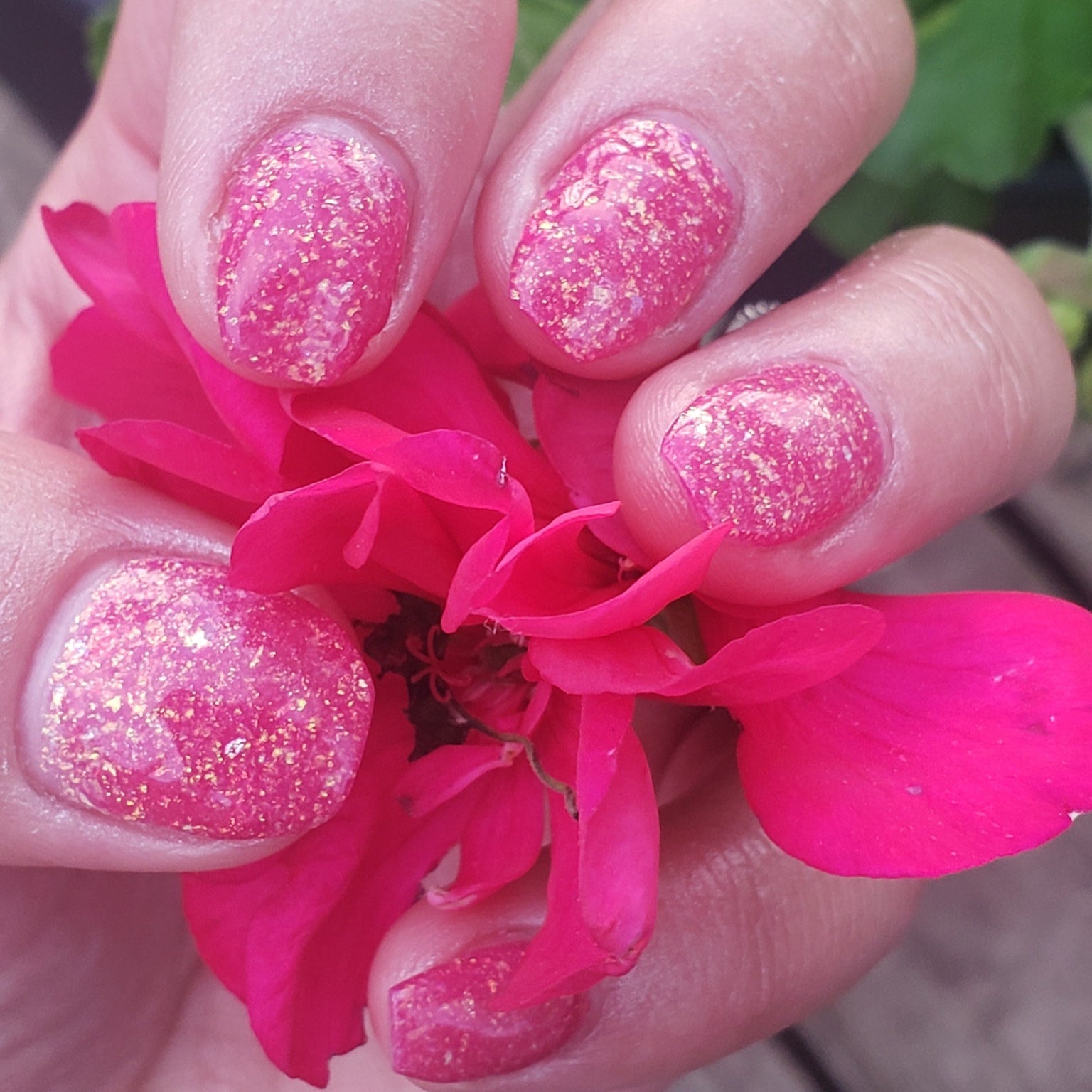 Pink glittery dip powder nails with multicolor chameleon flakes on short natural nails holding bright pink flower petals.