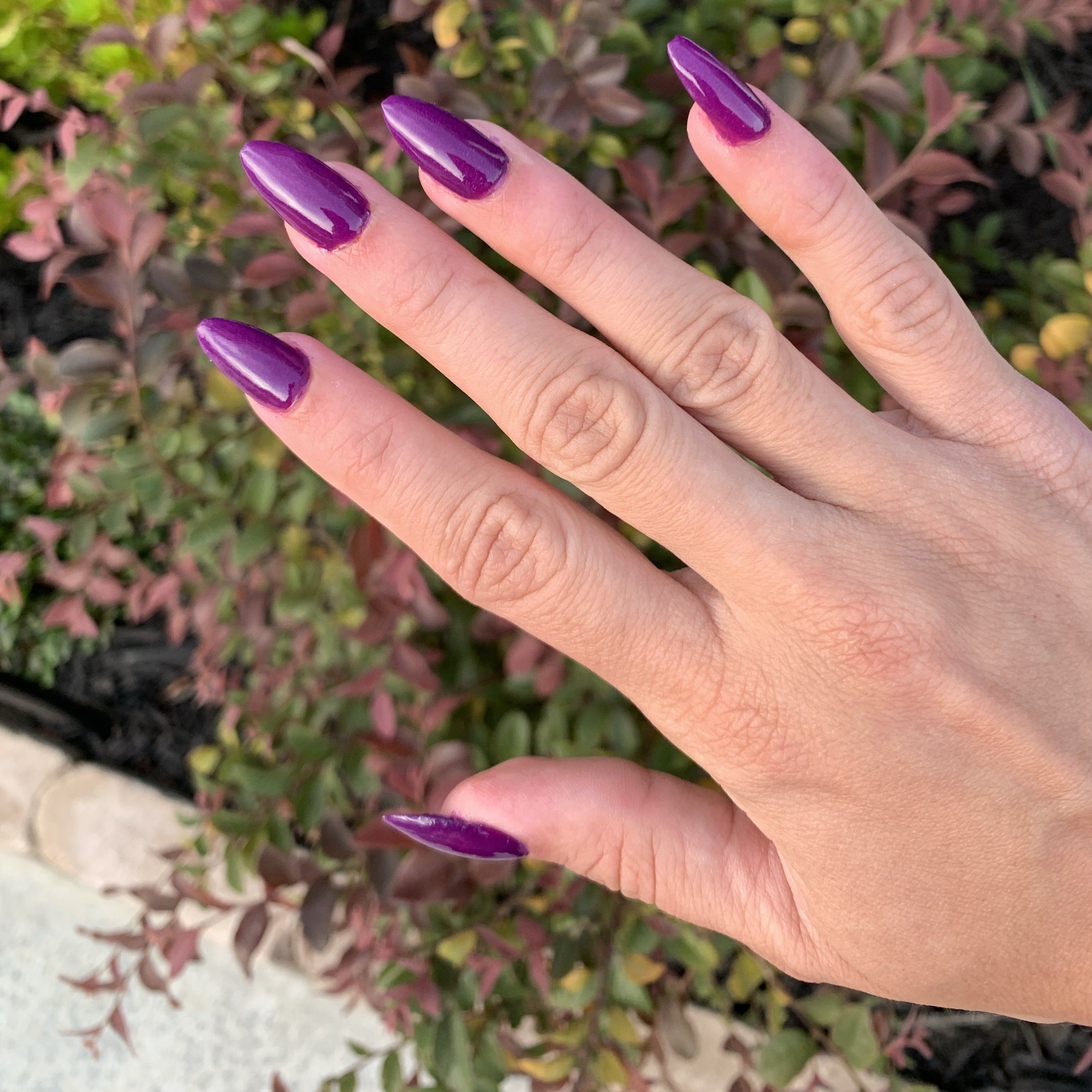 Long almond-shaped nails painted in glossy deep purple wine color on a hand against outdoor greenery background.