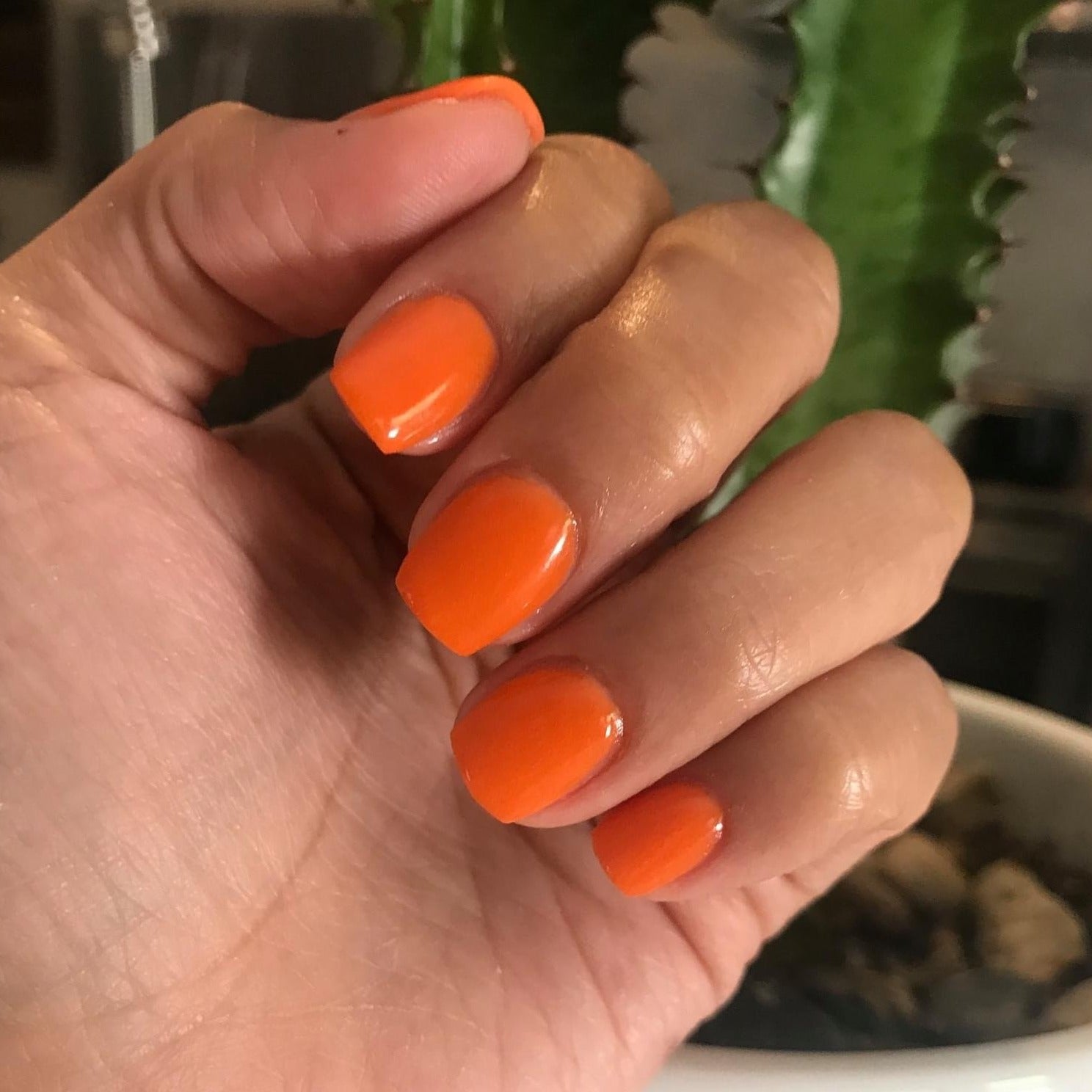 Bright solid orange dip powder nails with a glossy finish on short, rounded nails.