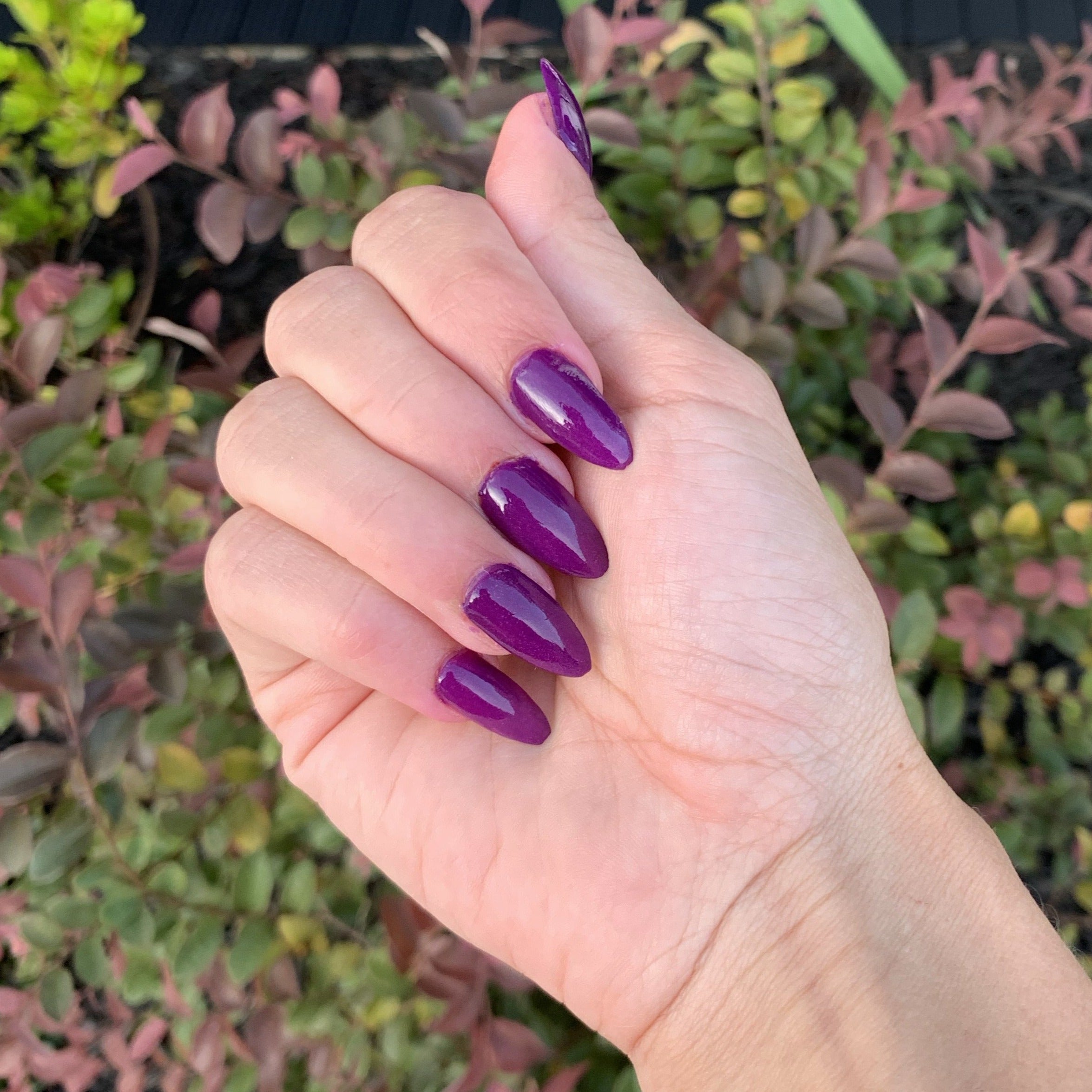 Hand with long, almond-shaped nails polished in deep purple wine-colored dip powder against outdoor foliage background.