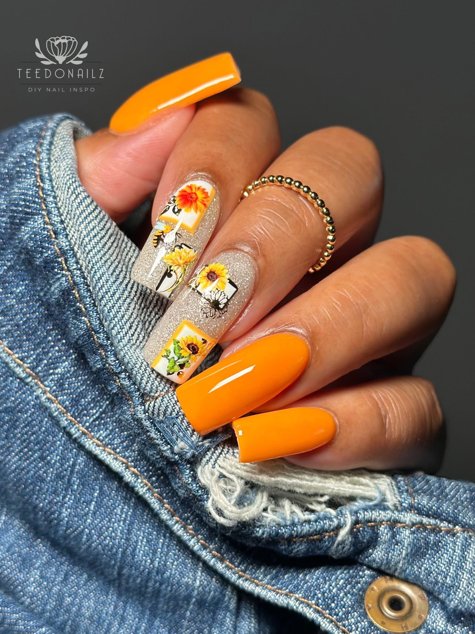 DP137 Girasol de Maryland