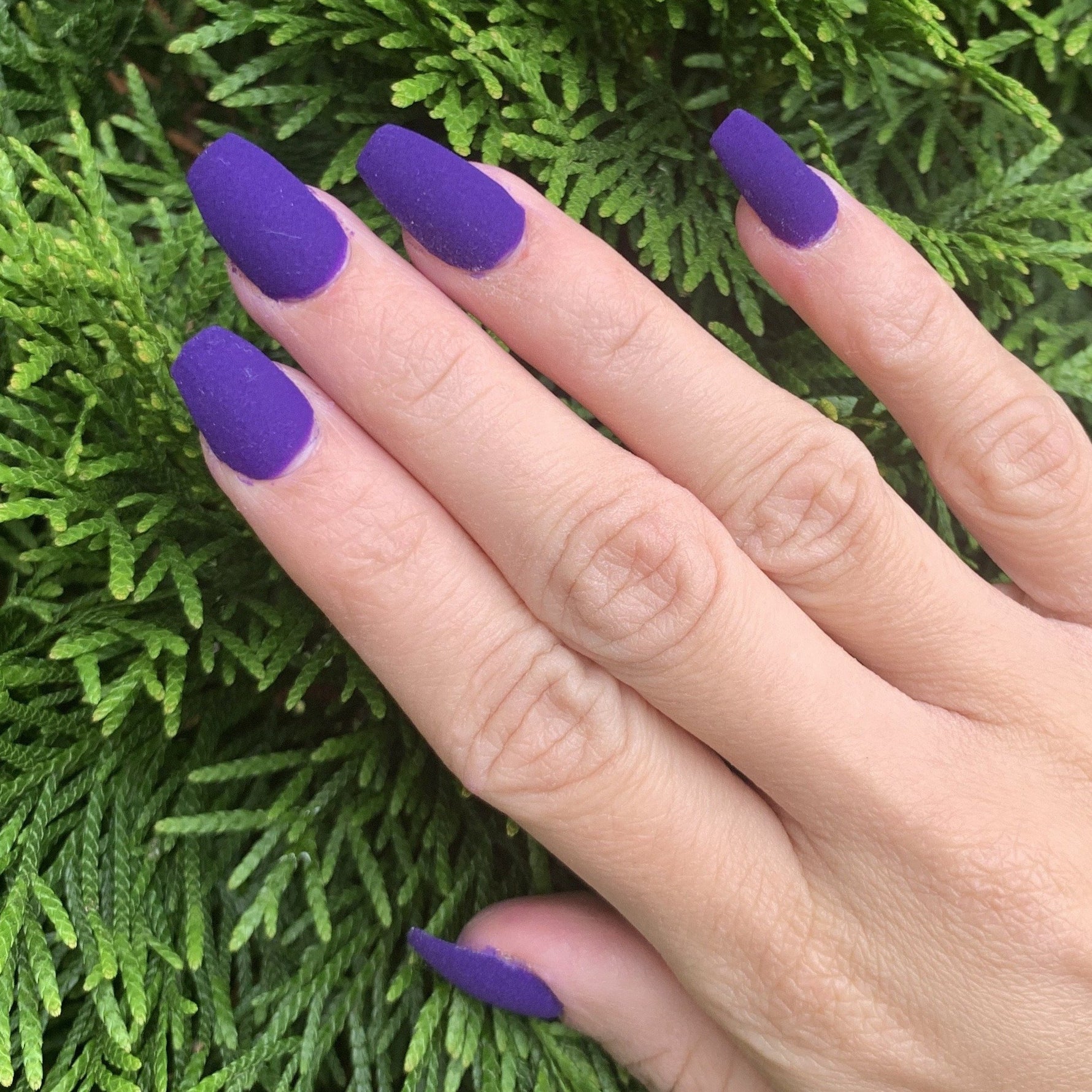 Matte purple coffin-shaped nails on hand against green foliage background.